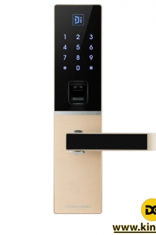 Khóa điện tử Dessmann A800