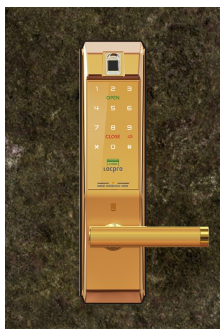 Có khoảng trên dưới 5 triệu sử dụng loại khóa điện tử nào