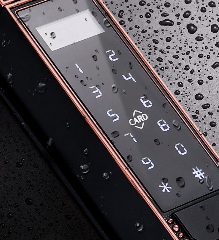 Khóa cổng sắt vân tay EUROLOCK