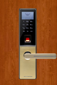 Khóa cửa vân tay Dessmann G810 Champagne