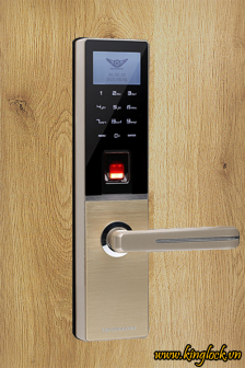 Khóa cửa vân tay Dessmann G810 Champagne Khóa cửa vân tay Dessmann G810 Champagne