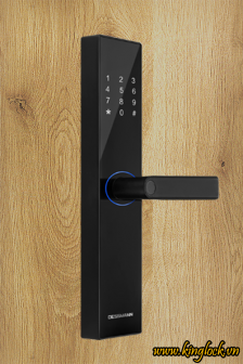 Khóa điện tử Dessmann A110