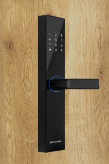 Khóa điện tử Dessmann A110