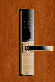 Khóa điện tử Dessmann A800