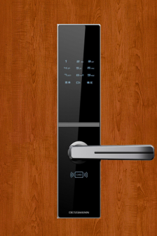 Khóa điện tử Dessmann C800