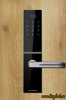 Khóa điện tử Dessmann C800-II