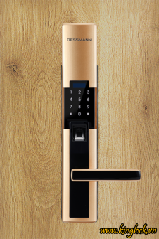 Khóa điện tử Dessmann S510-II