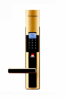 Khóa điện tử Dessmann S510-II