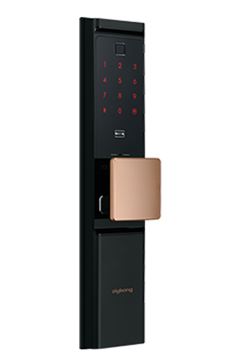 Khoá điện tử Samsung SHP-R80