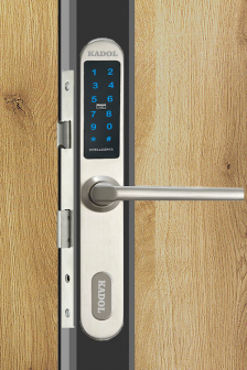 Khóa thẻ từ cửa nhựa lõi thép Kadol E6300