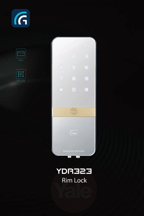 YALE YDR 313(Glass)